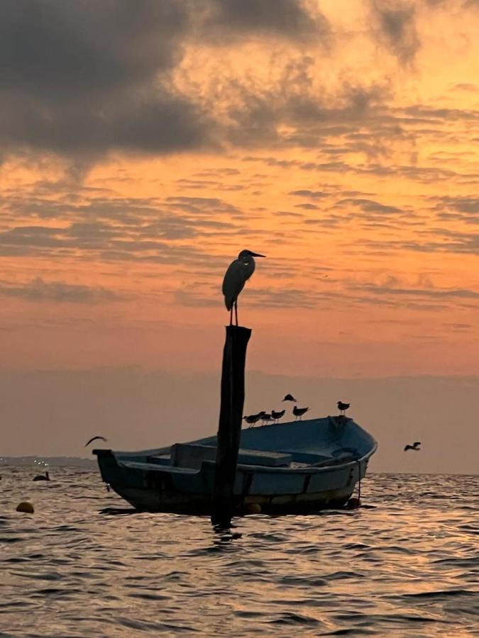 Апартаменти Tu Casa En El Caribe Канкун Екстер'єр фото