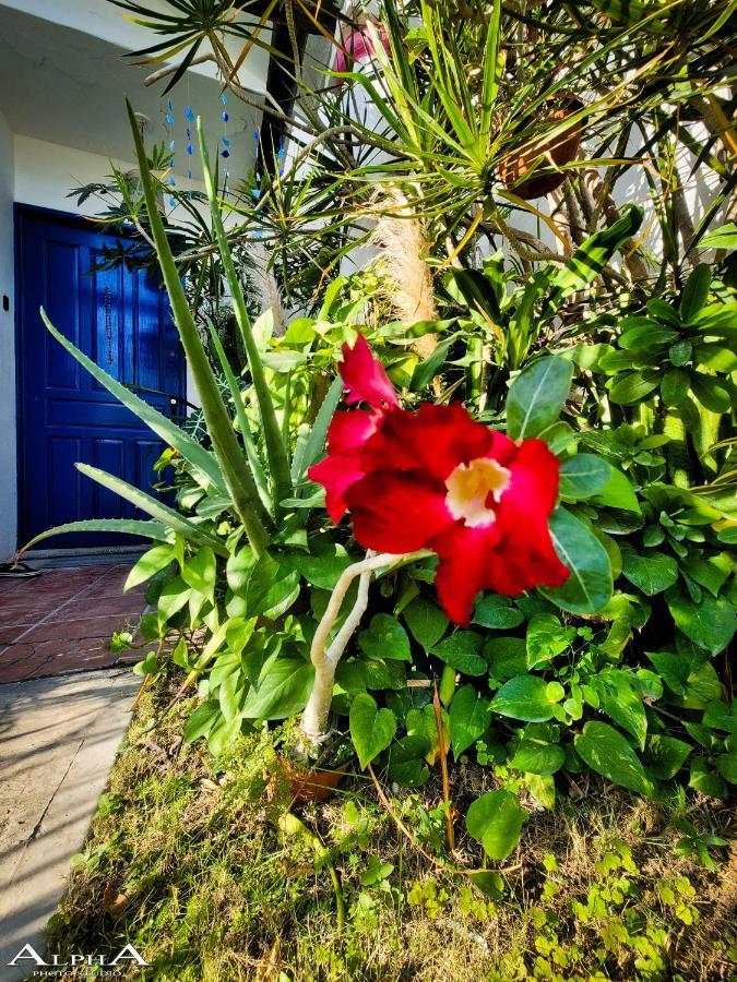 Апартаменти Tu Casa En El Caribe Канкун Екстер'єр фото